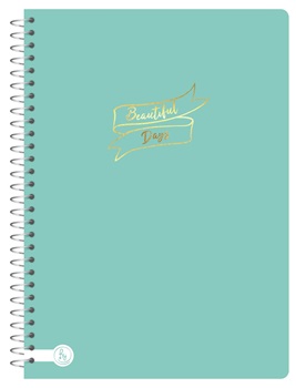 Cuaderno Reysa big rayado espiral 20 x 28 80 hojas t/semi-flex premium soft touch