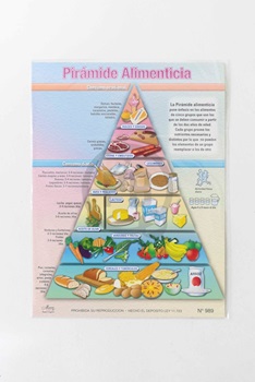 Laminas escolar Maucci x 5 Nº 989-piramide alimenticia