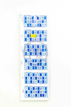Juego familar bingo 504 cartones