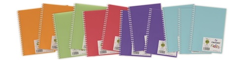 Block Canson artbook notes 50h A6 120g purpura