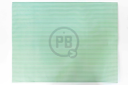 Cartulina Entretenida Muresco doble faz 50 x 65 rayas verde
