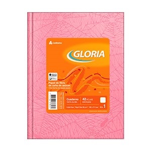 Cuaderno Gloria araña tapa dura 42 hojas rayado rosa