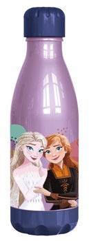 Botella wabro 560 ml daily pp Frozen ART 1270